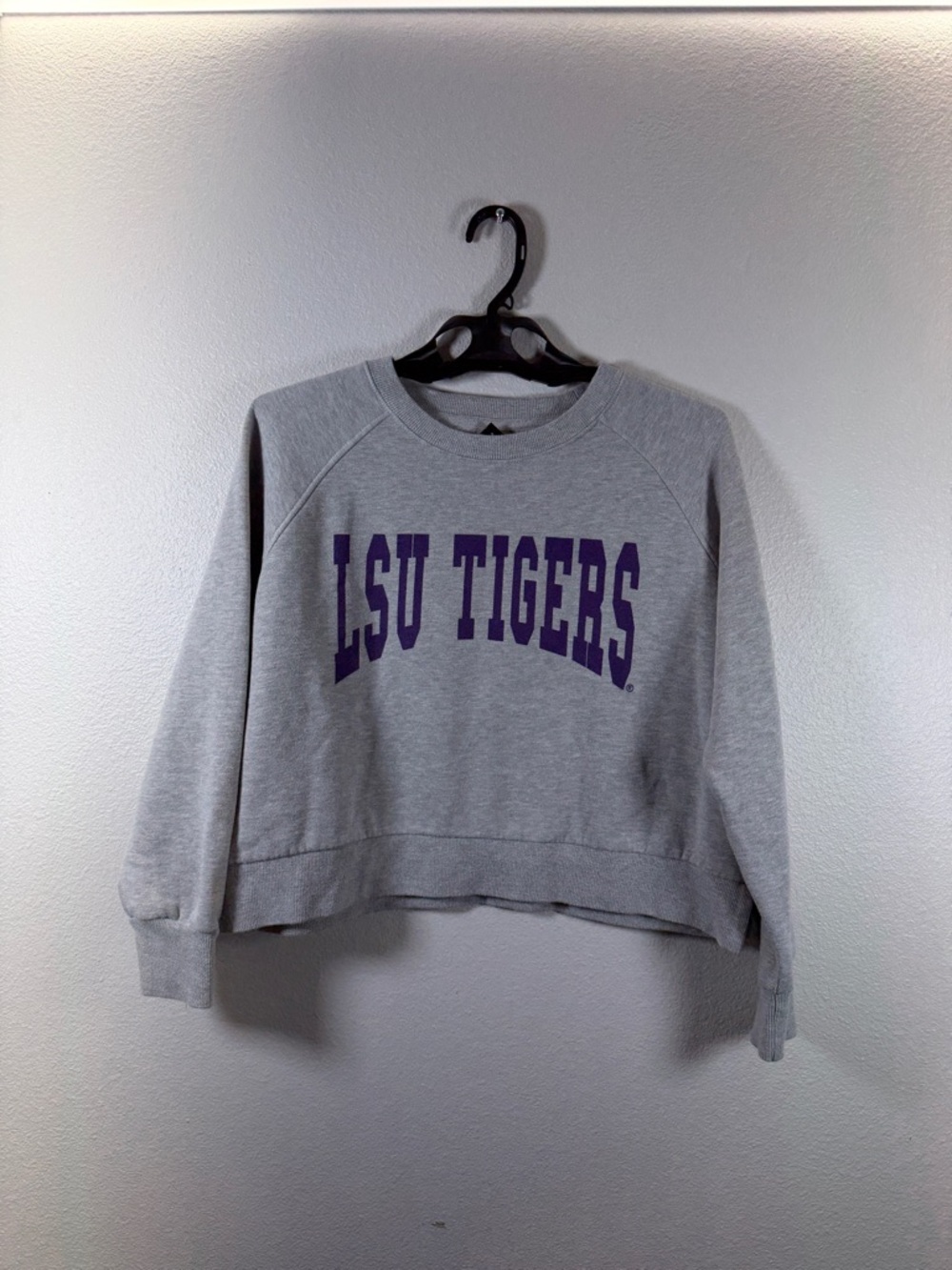 UGAPPAREL Women's Grey Crewneck Sweatshirt - Medium